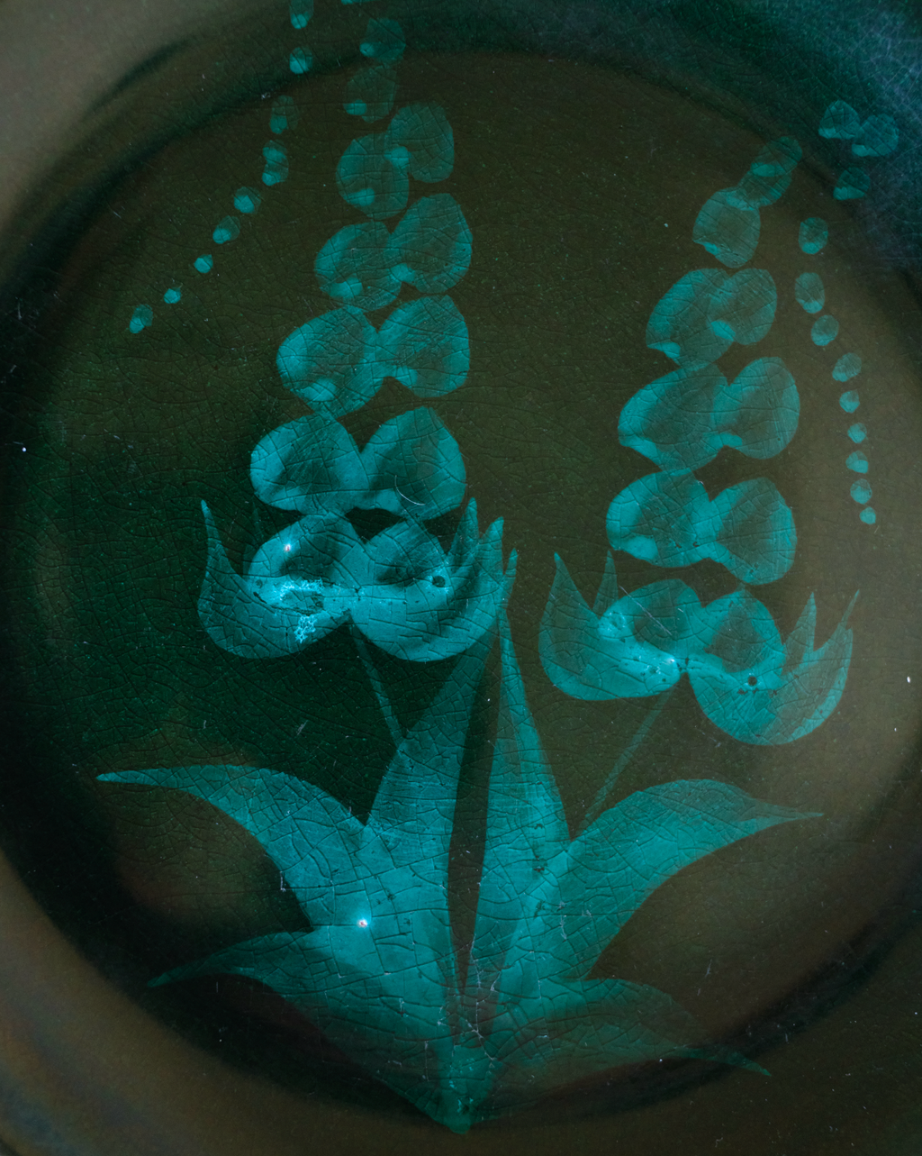 Set of 4 Cerasarda Italy - Turquoise Green Botanical plates