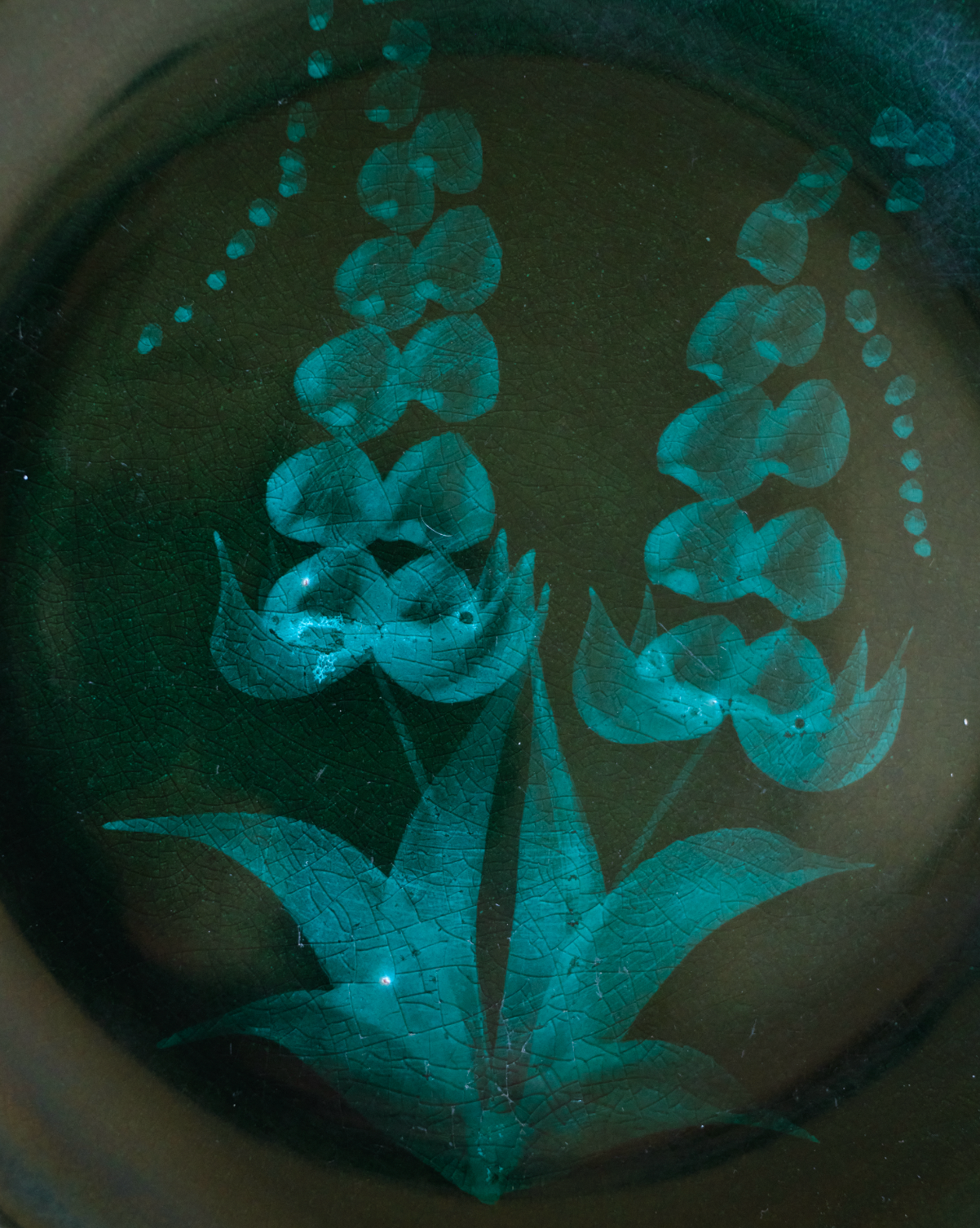 Set of 4 Cerasarda Italy - Turquoise Green Botanical plates