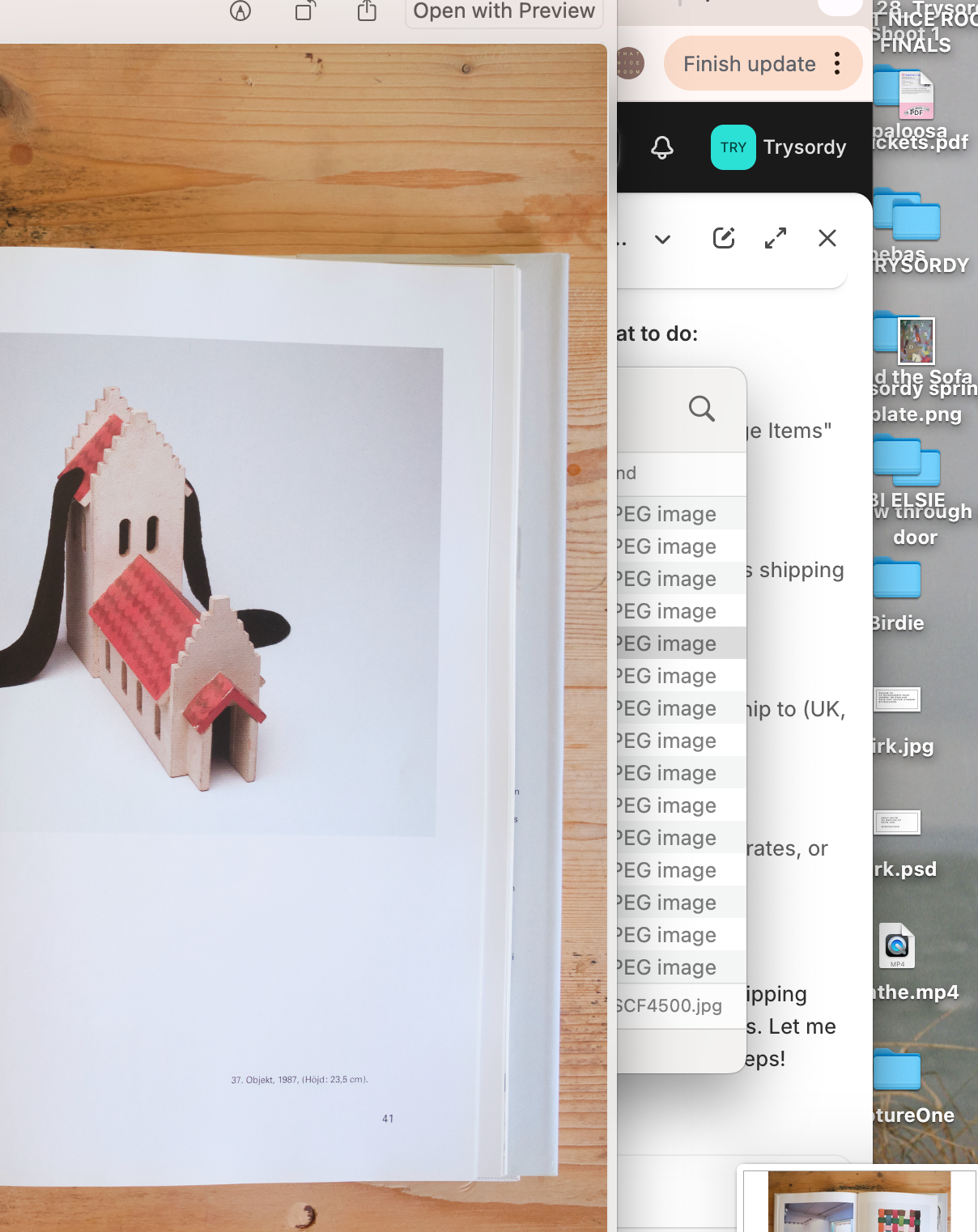 Swedish Coffee Table Book - Dan Wolgers -